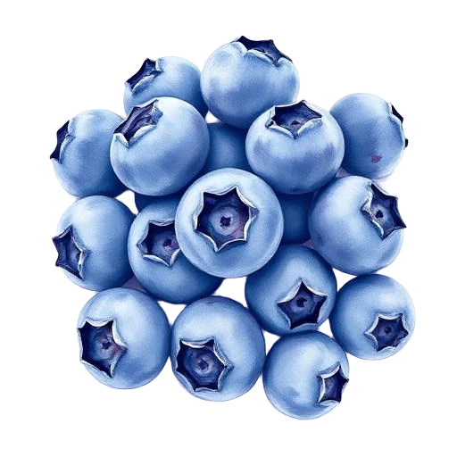Blaubeere gefriergetrocknet